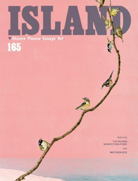 Island Magazine What We're reading november