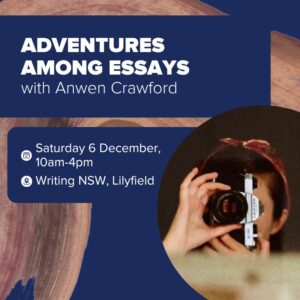 Adventures Among Essays